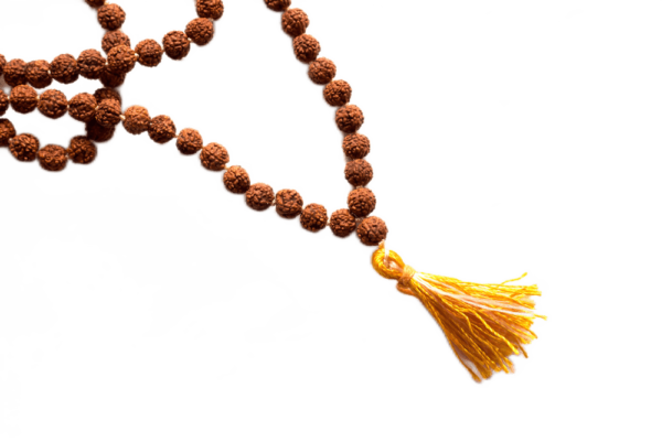 1000_F_78258821_fGbk4gG8YiDNw8jdQ406FCFhRatanuWJ-transformed.png
