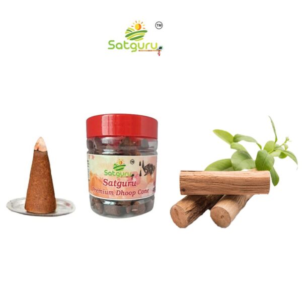 Satguru Desi Cow Dung Dhoop Cones, Chandan/Sandalwood Fragrance Organic Dhoop Cones for Puja Pack of 100 Gm