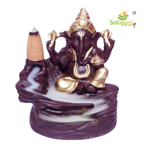 Satguru-Ganesha-Backflow-2.jpg