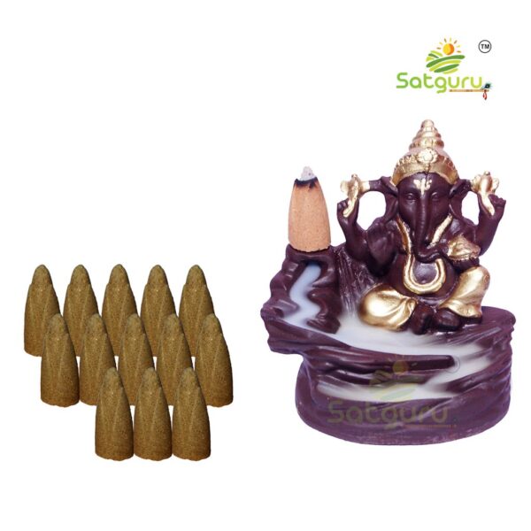 Satguru-Ganesha-Backflow.jpg