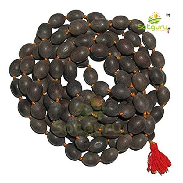 Satguru-Lotus-Seeds.jpg