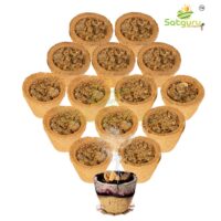 Satguru-guggal-cup