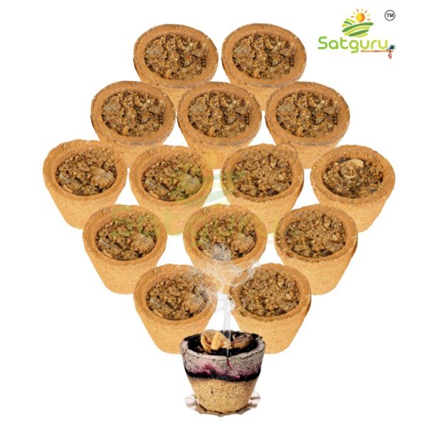 Satguru-guggal-cup