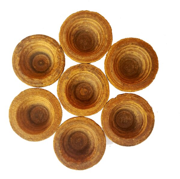 Cow Panchagavya Diya