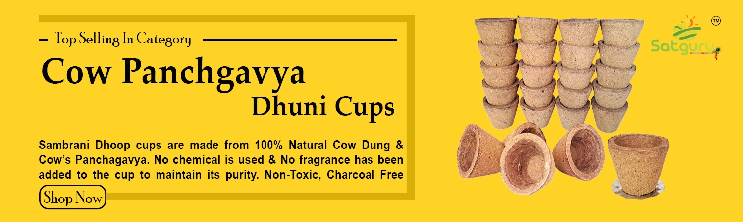 Satguru Sambrani Cup